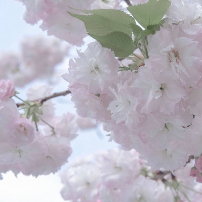 兽设海洋元素设计福瑞群